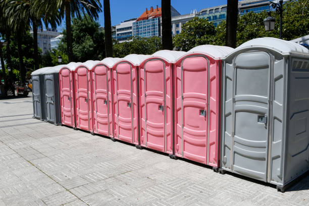 Best Portable Restrooms for Agricultural Sites  in Blacksburg, VA